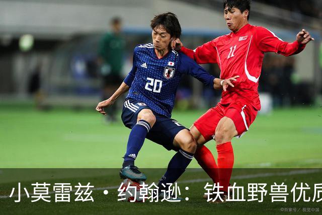 小莫雷兹·约翰逊：铁血野兽优质冠军拼图 开发三分顺位直逼乐透